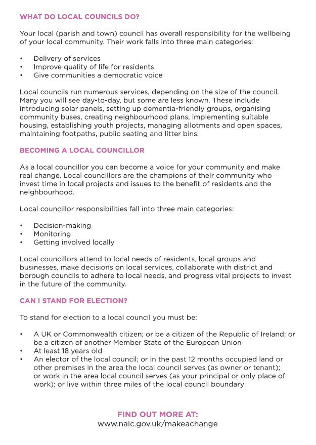 What do local councils do?